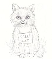 Free cat